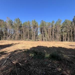 Photo #4 of SOLD property in Off Veaches Mill Road, Warsaw, NC 19.0 acres