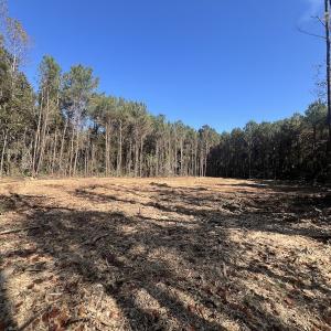 Photo #5 of SOLD property in Off Veaches Mill Road, Warsaw, NC 19.0 acres