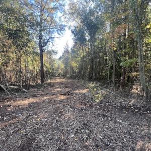 Photo #7 of SOLD property in Off Veaches Mill Road, Warsaw, NC 19.0 acres