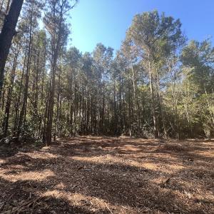 Photo #9 of SOLD property in Off Veaches Mill Road, Warsaw, NC 19.0 acres