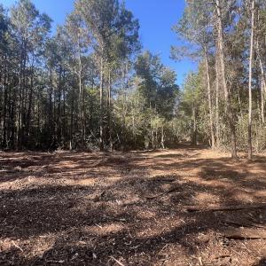 Photo #10 of SOLD property in Off Veaches Mill Road, Warsaw, NC 19.0 acres