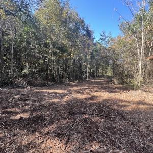 Photo #14 of SOLD property in Off Veaches Mill Road, Warsaw, NC 19.0 acres