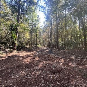 Photo #15 of SOLD property in Off Veaches Mill Road, Warsaw, NC 19.0 acres