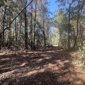 Photo #19 of SOLD property in Off Veaches Mill Road, Warsaw, NC 19.0 acres