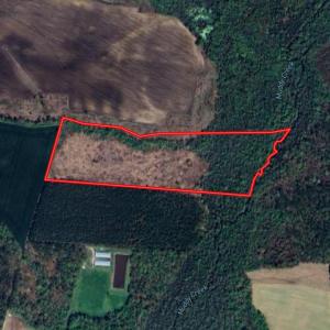 Photo #1 of SOLD property in 1804 OFF E/S, Old Chinquapin Road, Beulaville, NC 28.4 acres