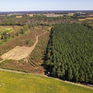 Photo #2 of SOLD property in 1804 OFF E/S, Old Chinquapin Road, Beulaville, NC 28.4 acres