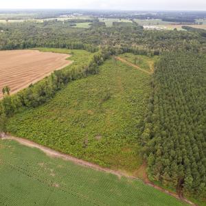 Photo #3 of SOLD property in 1804 OFF E/S, Old Chinquapin Road, Beulaville, NC 28.4 acres