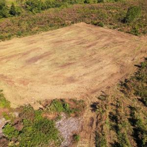 Photo #4 of SOLD property in 1804 OFF E/S, Old Chinquapin Road, Beulaville, NC 28.4 acres