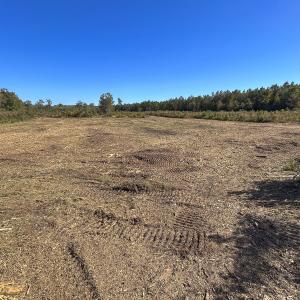 Photo #5 of SOLD property in 1804 OFF E/S, Old Chinquapin Road, Beulaville, NC 28.4 acres