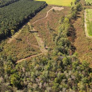 Photo #8 of SOLD property in 1804 OFF E/S, Old Chinquapin Road, Beulaville, NC 28.4 acres