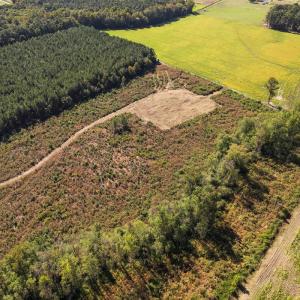 Photo #12 of SOLD property in 1804 OFF E/S, Old Chinquapin Road, Beulaville, NC 28.4 acres