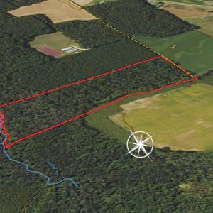 Photo #13 of SOLD property in 1804 OFF E/S, Old Chinquapin Road, Beulaville, NC 28.4 acres