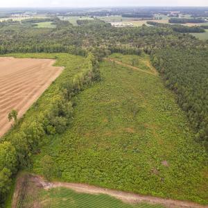 Photo #16 of SOLD property in 1804 OFF E/S, Old Chinquapin Road, Beulaville, NC 28.4 acres