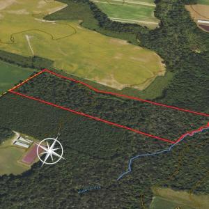 Photo #19 of SOLD property in 1804 OFF E/S, Old Chinquapin Road, Beulaville, NC 28.4 acres