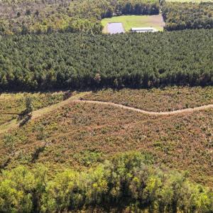Photo #22 of SOLD property in 1804 OFF E/S, Old Chinquapin Road, Beulaville, NC 28.4 acres