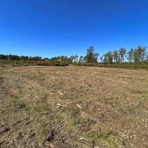 Photo #25 of SOLD property in 1804 OFF E/S, Old Chinquapin Road, Beulaville, NC 28.4 acres