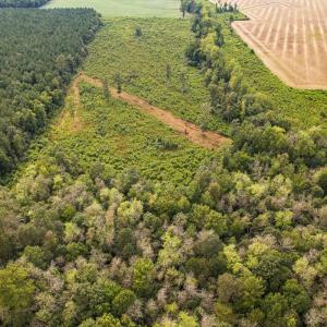 Photo #26 of SOLD property in 1804 OFF E/S, Old Chinquapin Road, Beulaville, NC 28.4 acres