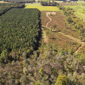 Photo #28 of SOLD property in 1804 OFF E/S, Old Chinquapin Road, Beulaville, NC 28.4 acres