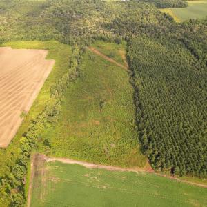 Photo #29 of SOLD property in 1804 OFF E/S, Old Chinquapin Road, Beulaville, NC 28.4 acres