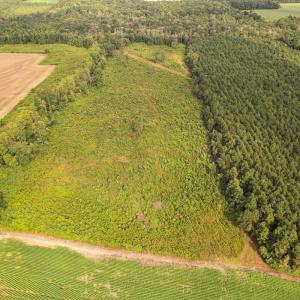 Photo #31 of SOLD property in 1804 OFF E/S, Old Chinquapin Road, Beulaville, NC 28.4 acres