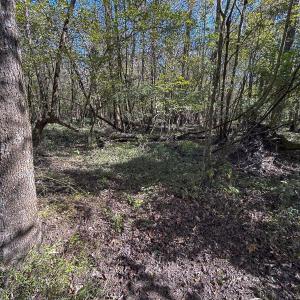 Photo #35 of SOLD property in 1804 OFF E/S, Old Chinquapin Road, Beulaville, NC 28.4 acres