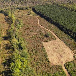 Photo #36 of SOLD property in 1804 OFF E/S, Old Chinquapin Road, Beulaville, NC 28.4 acres
