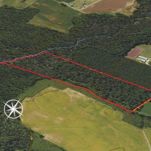 Photo #37 of SOLD property in 1804 OFF E/S, Old Chinquapin Road, Beulaville, NC 28.4 acres
