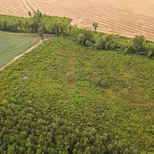 Photo #38 of SOLD property in 1804 OFF E/S, Old Chinquapin Road, Beulaville, NC 28.4 acres