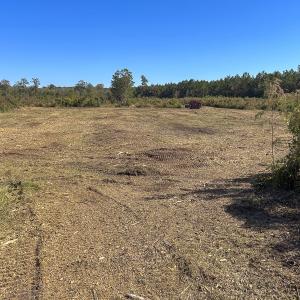 Photo #39 of SOLD property in 1804 OFF E/S, Old Chinquapin Road, Beulaville, NC 28.4 acres