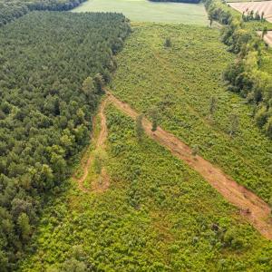 Photo #41 of SOLD property in 1804 OFF E/S, Old Chinquapin Road, Beulaville, NC 28.4 acres