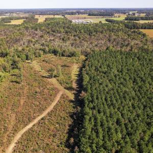Photo #43 of SOLD property in 1804 OFF E/S, Old Chinquapin Road, Beulaville, NC 28.4 acres