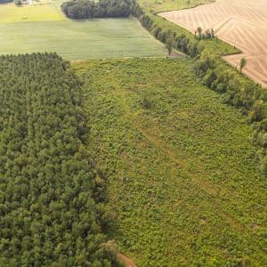 Photo #45 of SOLD property in 1804 OFF E/S, Old Chinquapin Road, Beulaville, NC 28.4 acres