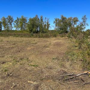Photo #52 of SOLD property in 1804 OFF E/S, Old Chinquapin Road, Beulaville, NC 28.4 acres