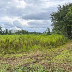 Photo #54 of SOLD property in 1804 OFF E/S, Old Chinquapin Road, Beulaville, NC 28.4 acres