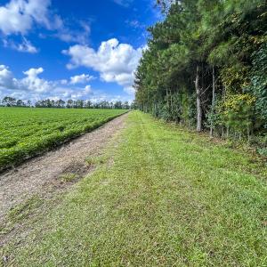 Photo #58 of SOLD property in 1804 OFF E/S, Old Chinquapin Road, Beulaville, NC 28.4 acres