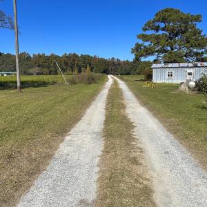 Photo #60 of SOLD property in 1804 OFF E/S, Old Chinquapin Road, Beulaville, NC 28.4 acres