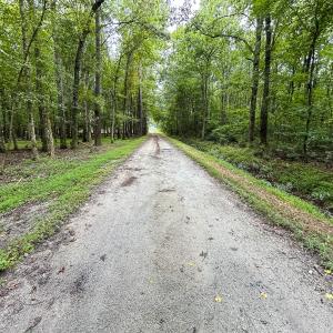 Photo #63 of SOLD property in 1804 OFF E/S, Old Chinquapin Road, Beulaville, NC 28.4 acres