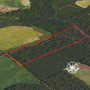 Photo #67 of SOLD property in 1804 OFF E/S, Old Chinquapin Road, Beulaville, NC 28.4 acres