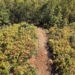 Photo #68 of SOLD property in 1804 OFF E/S, Old Chinquapin Road, Beulaville, NC 28.4 acres