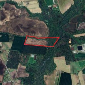 Photo #71 of SOLD property in 1804 OFF E/S, Old Chinquapin Road, Beulaville, NC 28.4 acres