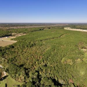 Photo #1 of SOLD property in Off River Road, Vanceboro, NC 29.9 acres