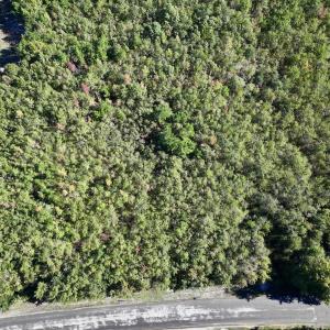 Photo #13 of SOLD property in Off River Road, Vanceboro, NC 29.9 acres
