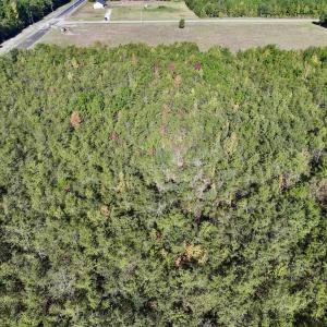 Photo #14 of SOLD property in Off River Road, Vanceboro, NC 29.9 acres