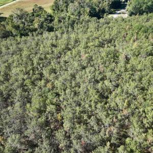 Photo #16 of SOLD property in Off River Road, Vanceboro, NC 29.9 acres