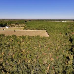 Photo #2 of SOLD property in Off River Road, Vanceboro, NC 29.9 acres