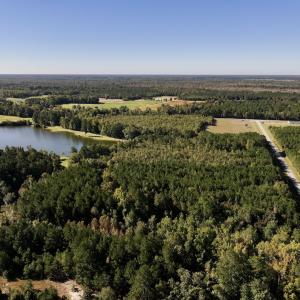 Photo #4 of SOLD property in Off River Road, Vanceboro, NC 29.9 acres