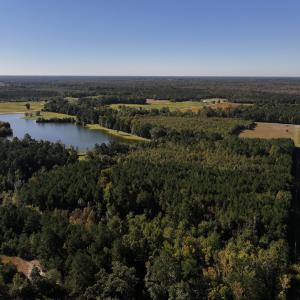 Photo #6 of SOLD property in Off River Road, Vanceboro, NC 29.9 acres