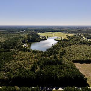 Photo #8 of SOLD property in Off River Road, Vanceboro, NC 29.9 acres