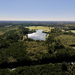 Photo #9 of SOLD property in Off River Road, Vanceboro, NC 29.9 acres