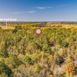 Photo #11 of SOLD property in 205-208 Cedar Fork Rd, Beulaville , NC 65.0 acres